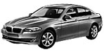 BMW F10 P0205 Fault Code